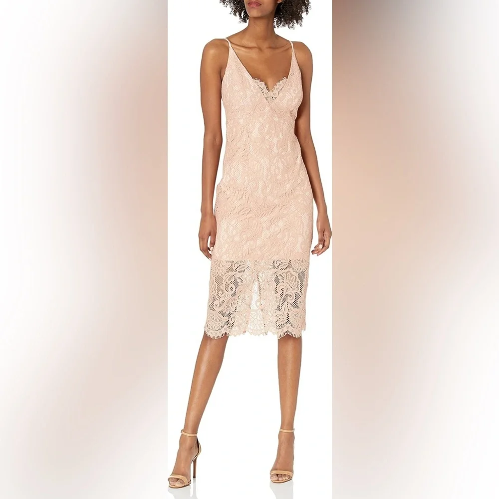 BNWT Bardot Lace Pink/Blush Dress size 6 - Picture 1 of 7